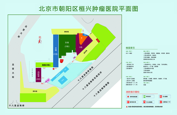 狂草逼视频北京市朝阳区桓兴肿瘤医院平面图